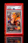HardGuard® Stained Glass Collection | PSA Graded Guard